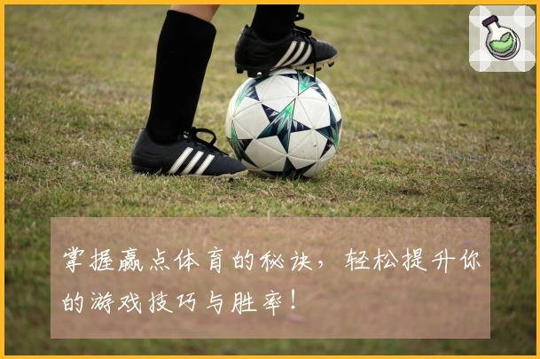 掌握赢点体育的秘诀，轻松提升你的游戏技巧与胜率！
