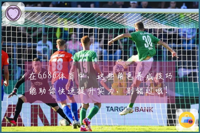 在6686体育中，这些角色养成技巧能助你快速提升实力，别错过哦！