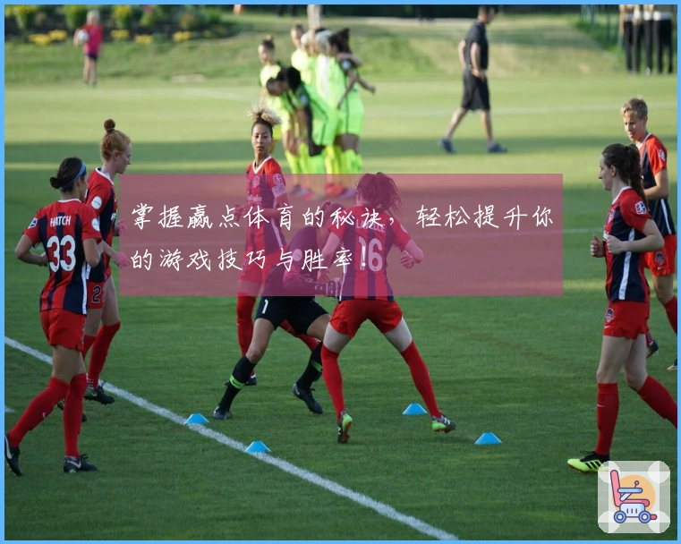 掌握赢点体育的秘诀，轻松提升你的游戏技巧与胜率！