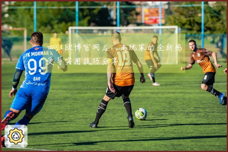 回归欧博官网后，老玩家的全新感受与实用技巧分享